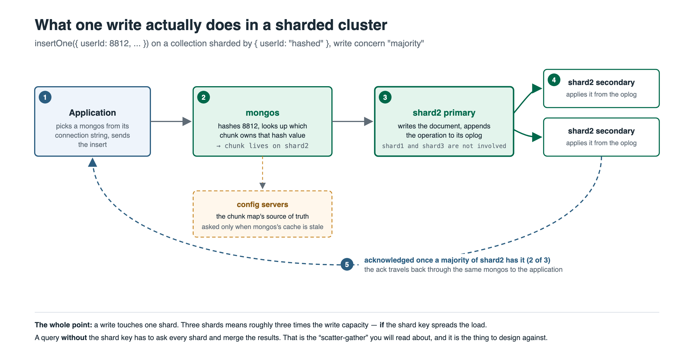 What one write does in a sharded cluster: the application sends it to a mongos, which routes it by shard key to one shard’s primary; secondaries replicate it; the majority acknowledgement comes back